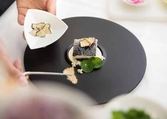 Szálloda Valamar Riviera Hotel&residence